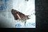  ( - MAL-04870)  @12 [ ] Unspecified (default): All Rights Reserved  Unspecified Unspecified