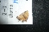  ( - MAL-04899)  @12 [ ] Unspecified (default): All Rights Reserved  Unspecified Unspecified
