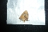  ( - MAL-04900)  @12 [ ] Unspecified (default): All Rights Reserved  Unspecified Unspecified