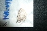  ( - MAL-04932)  @13 [ ] Unspecified (default): All Rights Reserved  Unspecified Unspecified