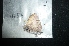  ( - MAL-04933)  @12 [ ] Unspecified (default): All Rights Reserved  Unspecified Unspecified
