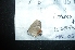  ( - MAL-05011)  @12 [ ] Unspecified (default): All Rights Reserved  Unspecified Unspecified