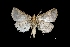  ( - MAL-03612)  @12 [ ] Unspecified (default): All Rights Reserved  Unspecified Unspecified