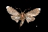  ( - MAL-03680)  @13 [ ] Unspecified (default): All Rights Reserved  Unspecified Unspecified