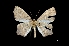  ( - MAL-03648)  @12 [ ] Unspecified (default): All Rights Reserved  Unspecified Unspecified