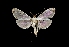  ( - MAL-03618)  @14 [ ] Unspecified (default): All Rights Reserved  Unspecified Unspecified
