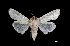  ( - MAL-03688)  @13 [ ] Unspecified (default): All Rights Reserved  Unspecified Unspecified