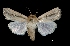 ( - MAL-03642)  @13 [ ] Unspecified (default): All Rights Reserved  Unspecified Unspecified