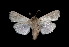  ( - MAL-03642)  @13 [ ] Unspecified (default): All Rights Reserved  Unspecified Unspecified