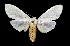  ( - MAL-03685)  @14 [ ] Unspecified (default): All Rights Reserved  Unspecified Unspecified