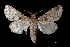  ( - MAL-03613)  @13 [ ] Unspecified (default): All Rights Reserved  Unspecified Unspecified