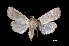  ( - MAL-03832)  @12 [ ] Unspecified (default): All Rights Reserved  Unspecified Unspecified