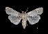  ( - MAL-03834)  @13 [ ] Unspecified (default): All Rights Reserved  Unspecified Unspecified
