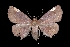  ( - MAL-03560)  @12 [ ] Unspecified (default): All Rights Reserved  Unspecified Unspecified
