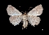  ( - MAL-03560)  @12 [ ] Unspecified (default): All Rights Reserved  Unspecified Unspecified