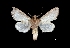  ( - MAL-03637)  @13 [ ] Unspecified (default): All Rights Reserved  Unspecified Unspecified