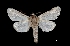  ( - MAL-03635)  @13 [ ] Unspecified (default): All Rights Reserved  Unspecified Unspecified