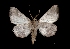  ( - MAL-03573)  @13 [ ] Unspecified (default): All Rights Reserved  Unspecified Unspecified
