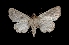  ( - MAL-03589)  @13 [ ] Unspecified (default): All Rights Reserved  Unspecified Unspecified