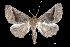 ( - MAL-03568)  @13 [ ] Unspecified (default): All Rights Reserved  Unspecified Unspecified