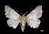  ( - MAL-03656)  @13 [ ] Unspecified (default): All Rights Reserved  Unspecified Unspecified