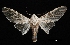  ( - MAL-03681)  @14 [ ] Unspecified (default): All Rights Reserved  Unspecified Unspecified