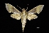  ( - MAL-03682)  @14 [ ] Unspecified (default): All Rights Reserved  Unspecified Unspecified