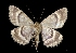  ( - MAL-03576)  @14 [ ] Unspecified (default): All Rights Reserved  Unspecified Unspecified