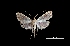  ( - MAL-03788)  @11 [ ] Unspecified (default): All Rights Reserved  Unspecified Unspecified