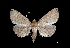  ( - MAL-03650)  @14 [ ] Unspecified (default): All Rights Reserved  Unspecified Unspecified
