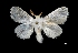  ( - MAL-03777)  @13 [ ] Unspecified (default): All Rights Reserved  Unspecified Unspecified