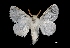  ( - MAL-03776)  @13 [ ] Unspecified (default): All Rights Reserved  Unspecified Unspecified