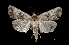  ( - MAL-03792)  @14 [ ] Unspecified (default): All Rights Reserved  Unspecified Unspecified