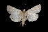  ( - MAL-03792)  @13 [ ] Unspecified (default): All Rights Reserved  Unspecified Unspecified