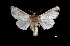  ( - MAL-03767)  @13 [ ] Unspecified (default): All Rights Reserved  Unspecified Unspecified