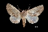  ( - MAL-03747)  @13 [ ] Unspecified (default): All Rights Reserved  Unspecified Unspecified