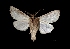  ( - MAL-03754)  @14 [ ] Unspecified (default): All Rights Reserved  Unspecified Unspecified