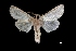  ( - MAL-03755)  @13 [ ] Unspecified (default): All Rights Reserved  Unspecified Unspecified