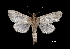  ( - MAL-03757)  @13 [ ] Unspecified (default): All Rights Reserved  Unspecified Unspecified