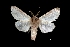  ( - MAL-03764)  @13 [ ] Unspecified (default): All Rights Reserved  Unspecified Unspecified