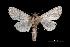  ( - MAL-03752)  @13 [ ] Unspecified (default): All Rights Reserved  Unspecified Unspecified