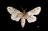  ( - MAL-03766)  @13 [ ] Unspecified (default): All Rights Reserved  Unspecified Unspecified