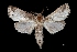  ( - MAL-03760)  @13 [ ] Unspecified (default): All Rights Reserved  Unspecified Unspecified
