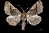  ( - MAL-03804)  @13 [ ] Unspecified (default): All Rights Reserved  Unspecified Unspecified