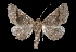  ( - MAL-03805)  @13 [ ] Unspecified (default): All Rights Reserved  Unspecified Unspecified