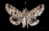  ( - MAL-03796)  @13 [ ] Unspecified (default): All Rights Reserved  Unspecified Unspecified