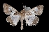  ( - MAL-03810)  @13 [ ] Unspecified (default): All Rights Reserved  Unspecified Unspecified