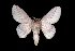  ( - MAL-03701)  @13 [ ] Unspecified (default): All Rights Reserved  Unspecified Unspecified
