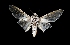  ( - MAL-03700)  @14 [ ] Unspecified (default): All Rights Reserved  Unspecified Unspecified