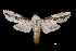  ( - MAL-03773)  @13 [ ] Unspecified (default): All Rights Reserved  Unspecified Unspecified